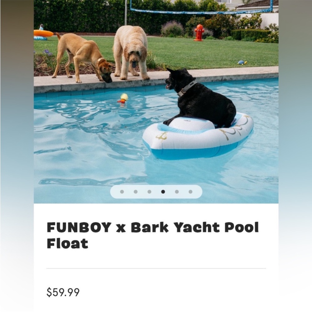 Funboy x BARK Pool Float - Picture 3 of 6